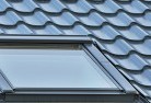 Fern Treeskylight-replacements.jpg; ?>